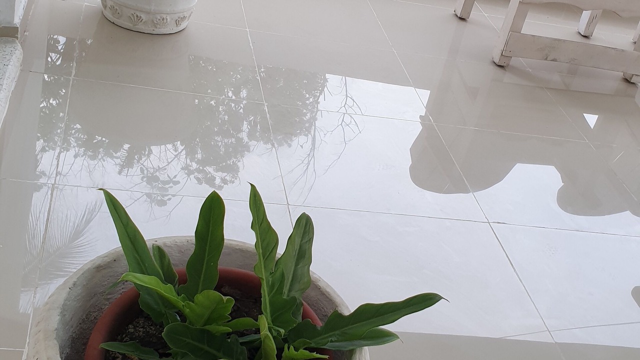 Photo of Outdoor in Sabana Palenque