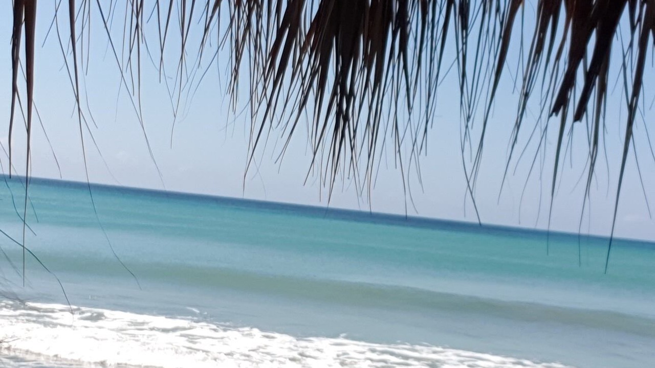 Photo of Others in Sabana Palenque