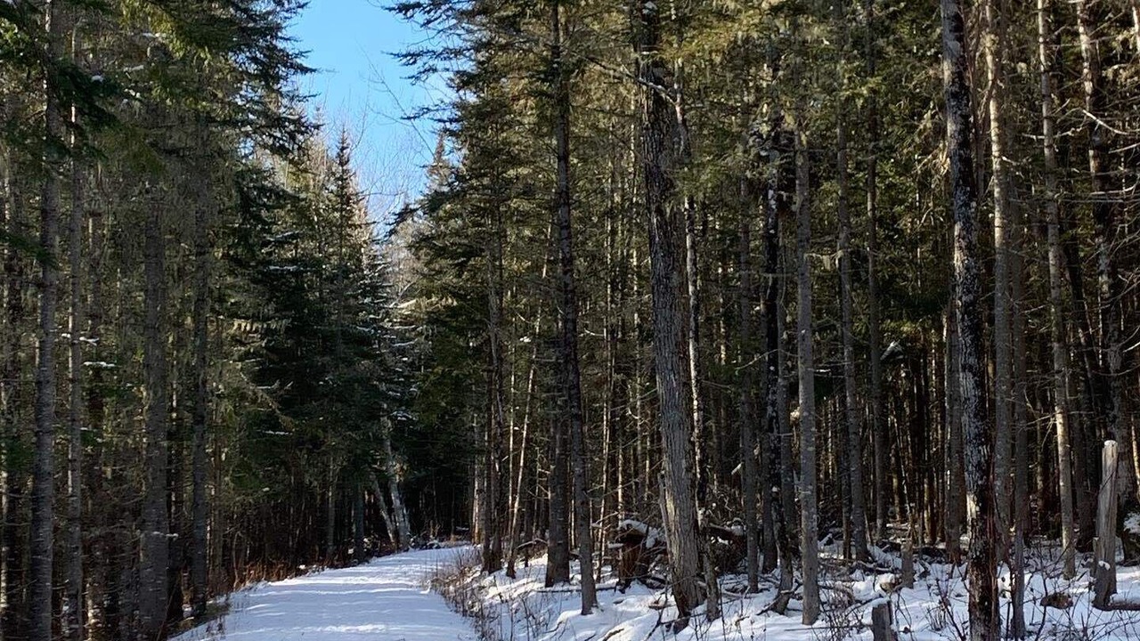 Photo of Others in Saint-Juste-du-Lac