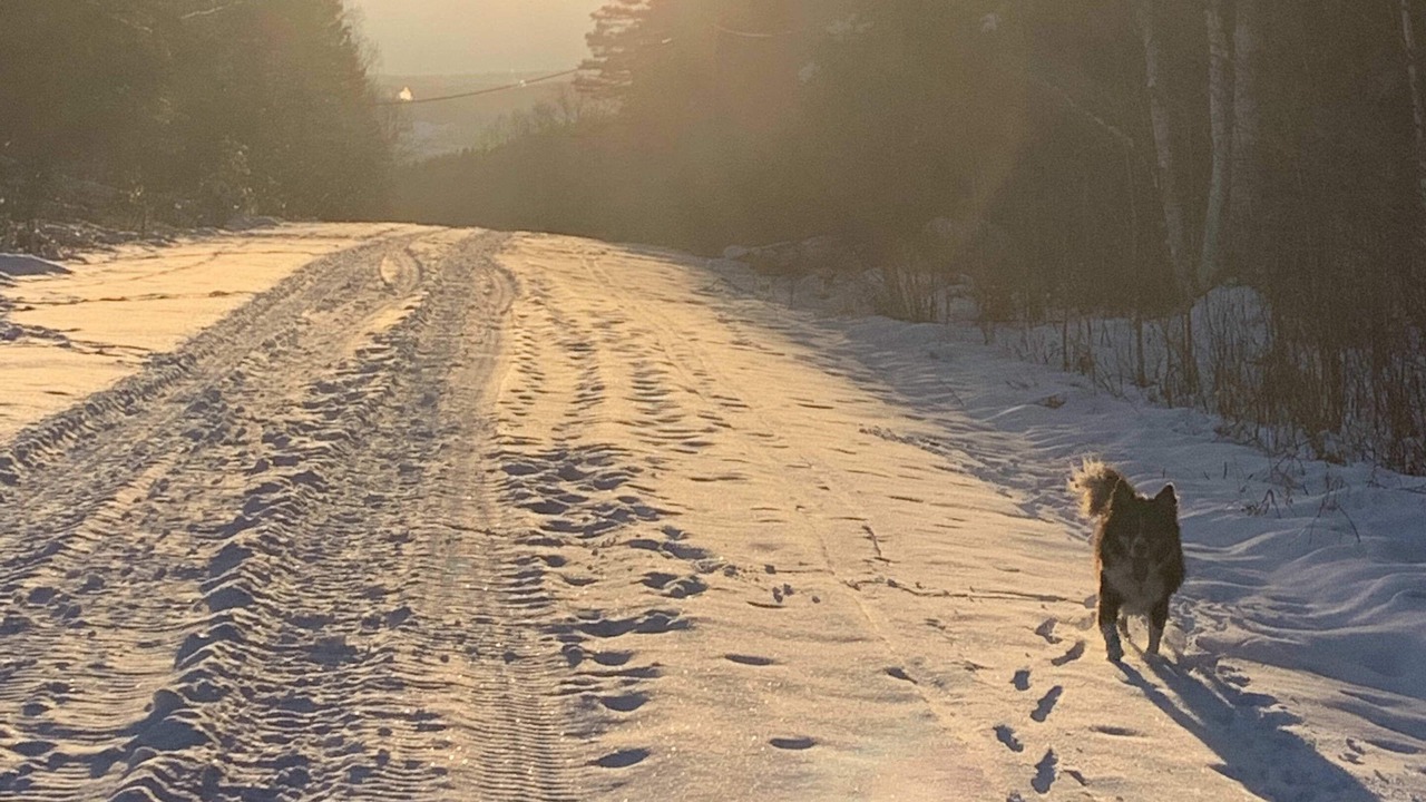 Photo of Others in Saint-Juste-du-Lac