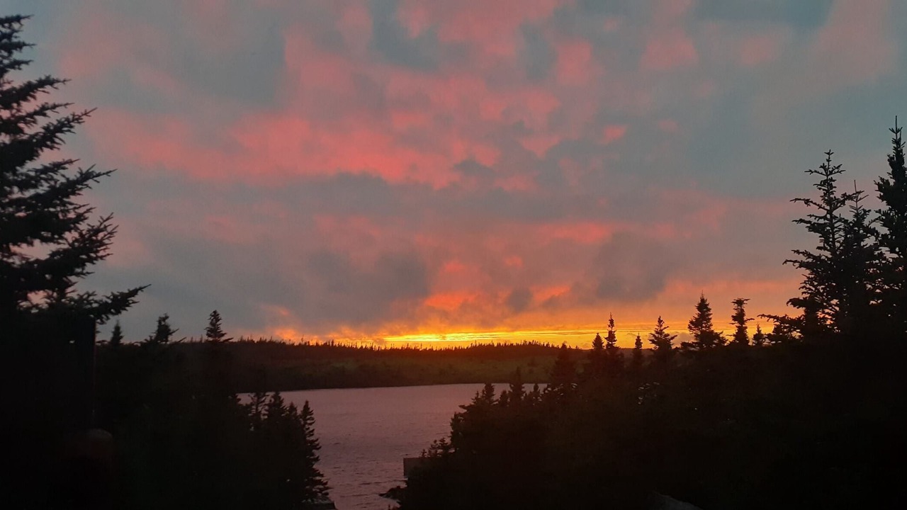 Photo of Others in Broad Cove