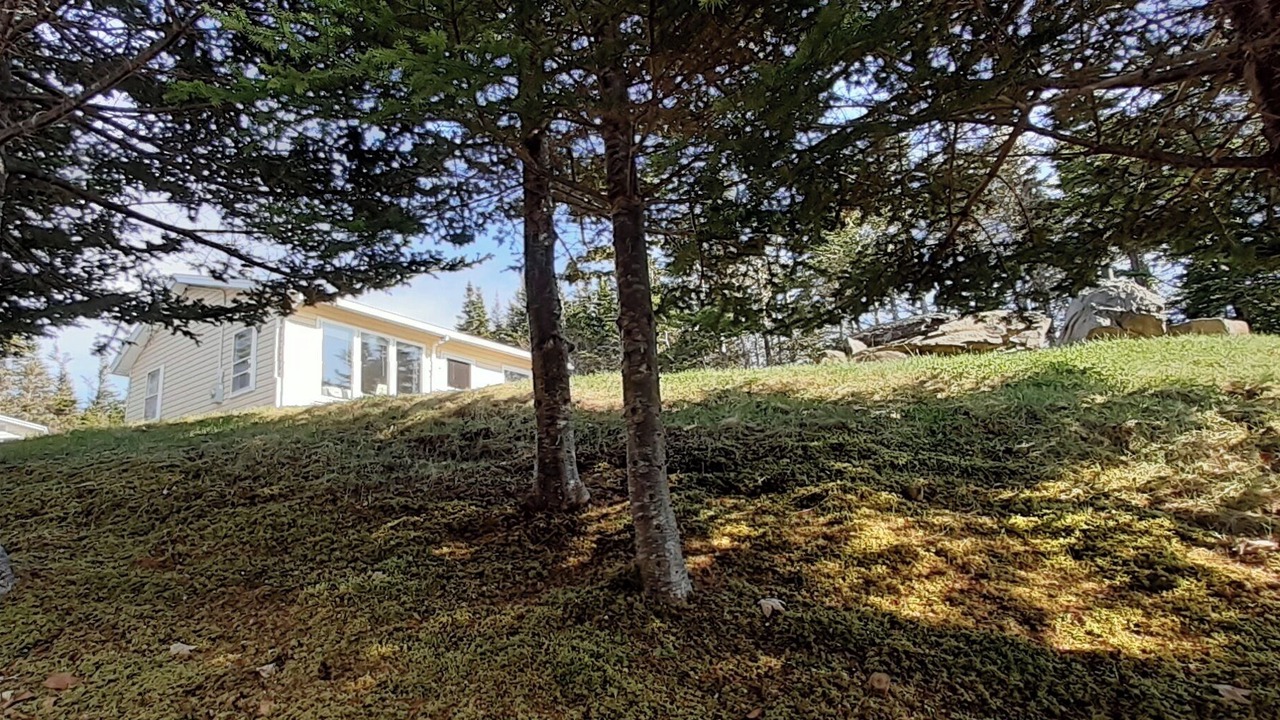 Photo of Outdoor in Broad Cove