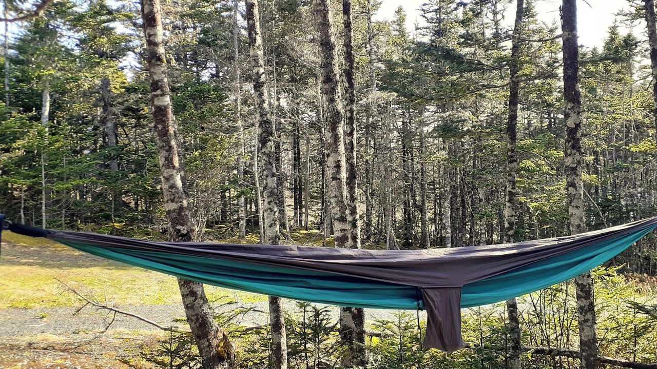 Photo of Others in Broad Cove