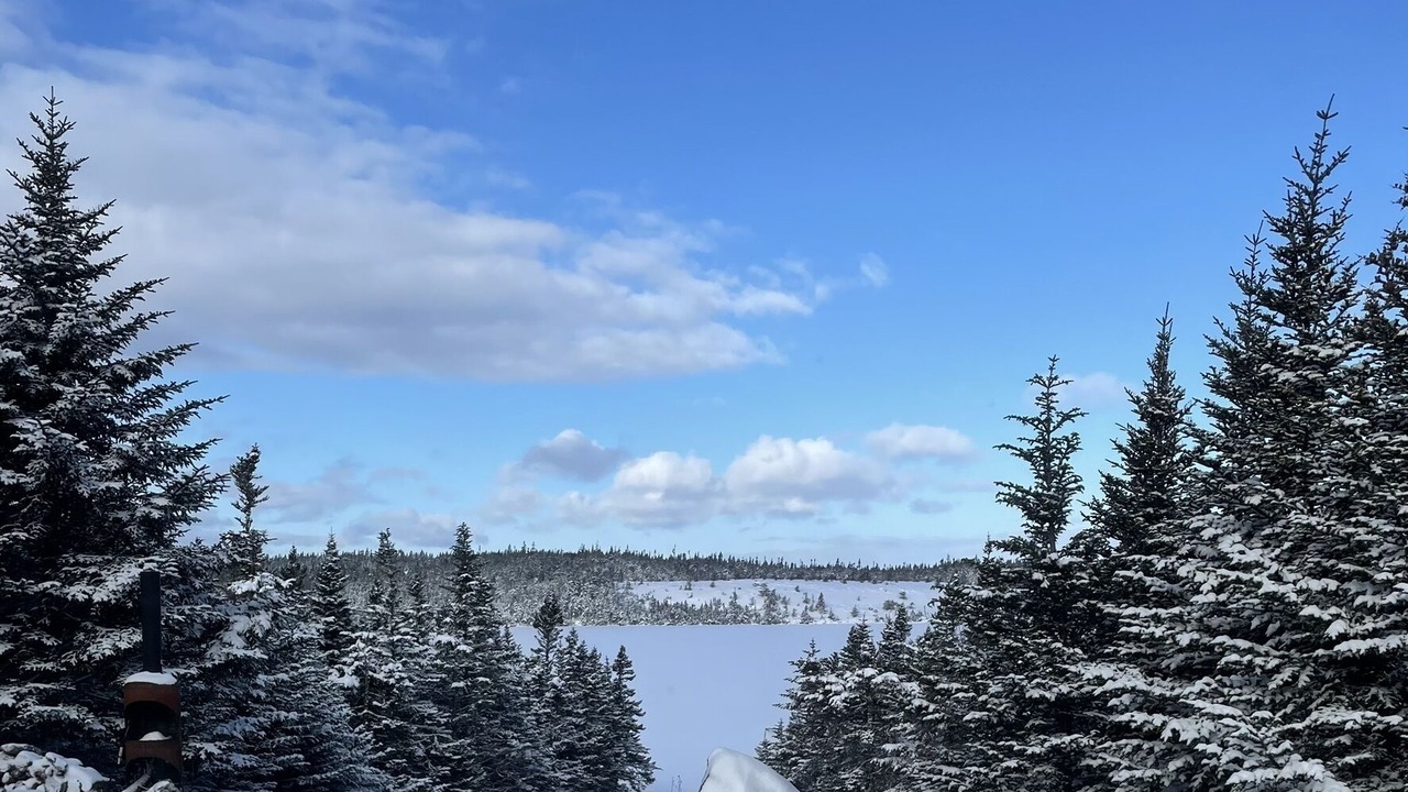 Photo of Others in Broad Cove