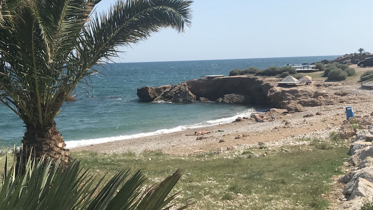 Photo of Others in Vinaros