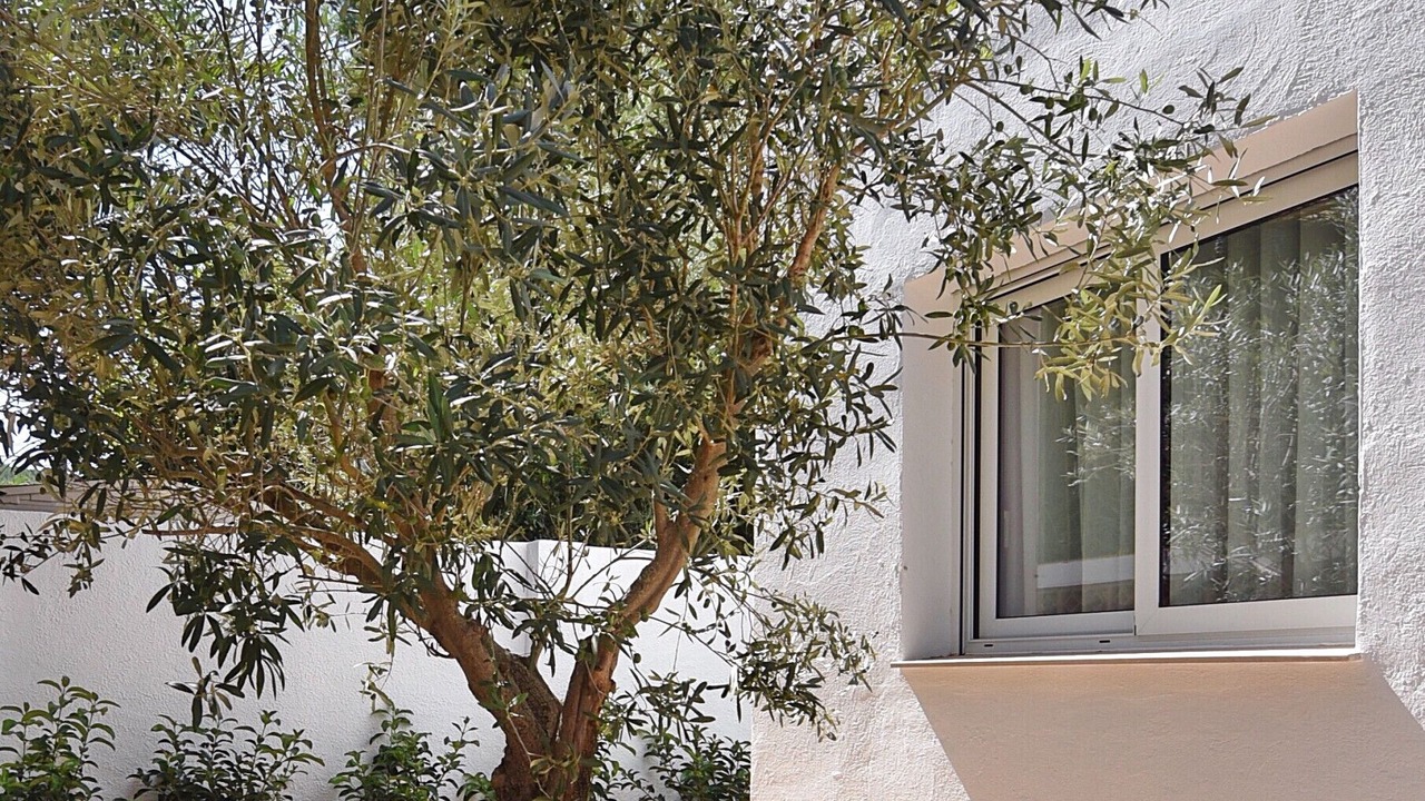 Photo of Outdoor in Torroella de Montgri