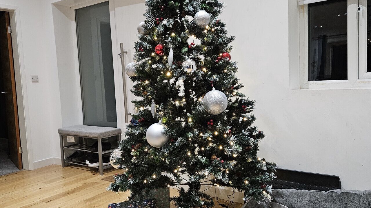 Photo of Others in Trearddur Bay