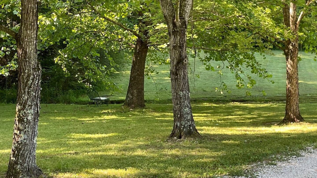 Photo of Outdoor in Camden