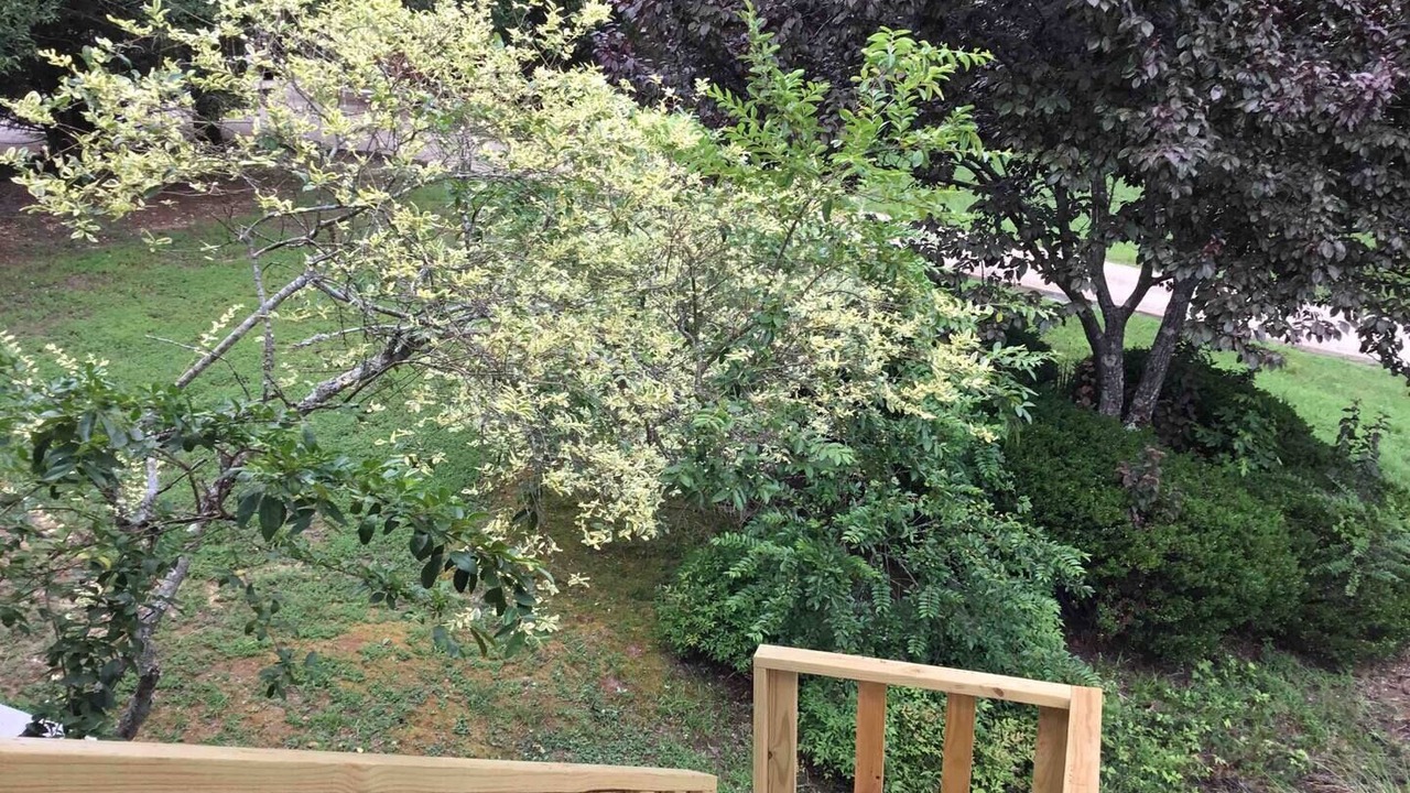 Photo of Outdoor in Camden