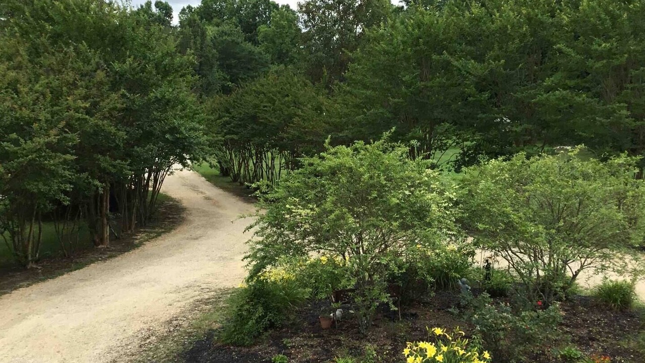 Photo of Outdoor in Camden