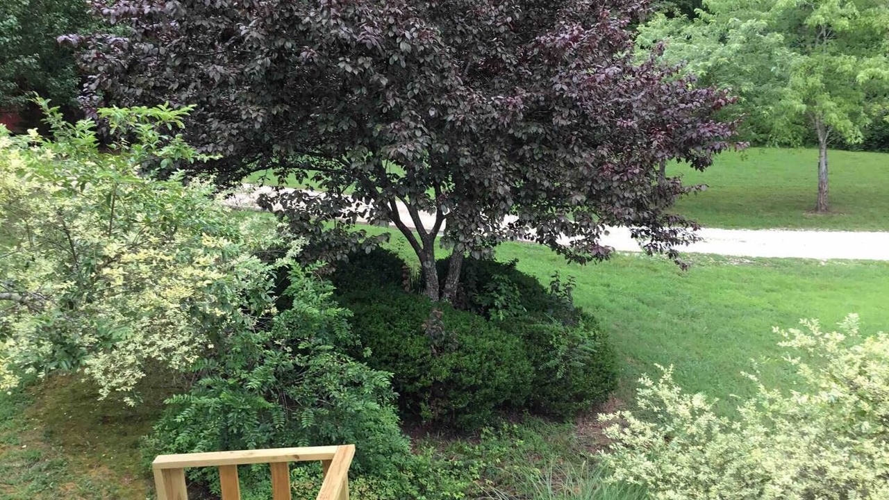 Photo of Outdoor in Camden