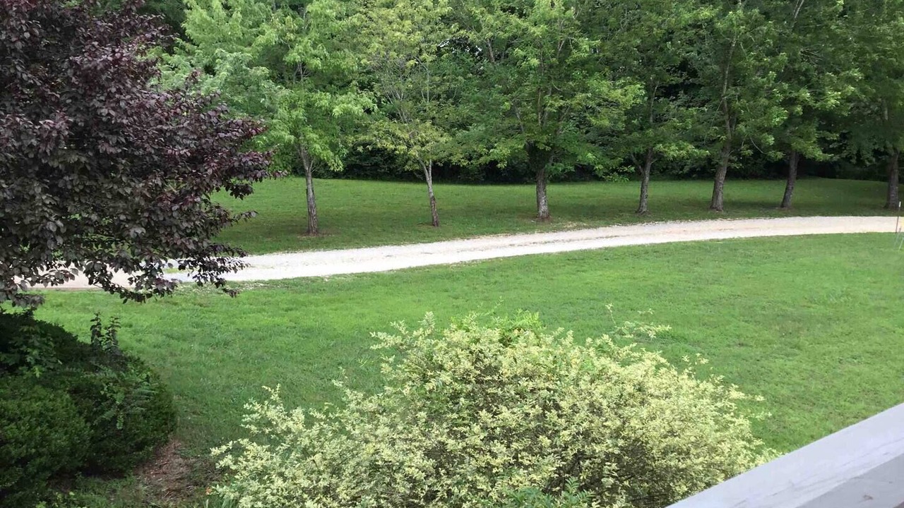 Photo of Outdoor in Camden