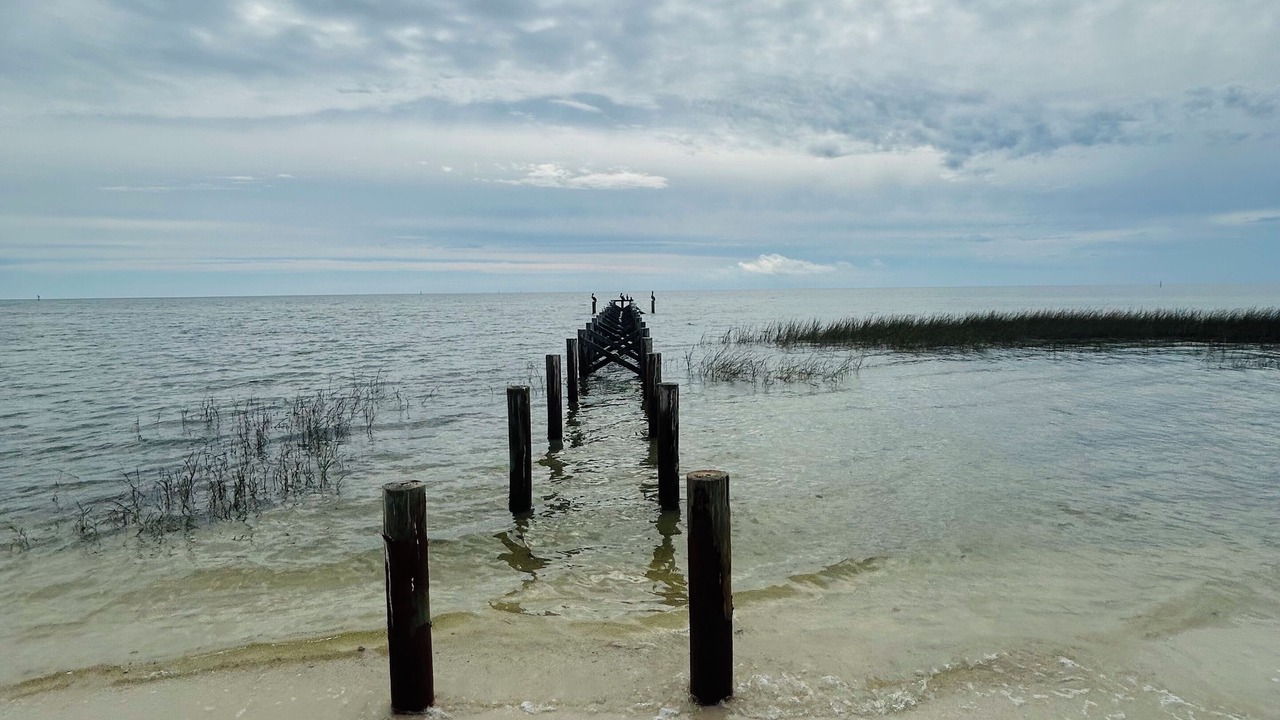 Photo of Others in Carrabelle