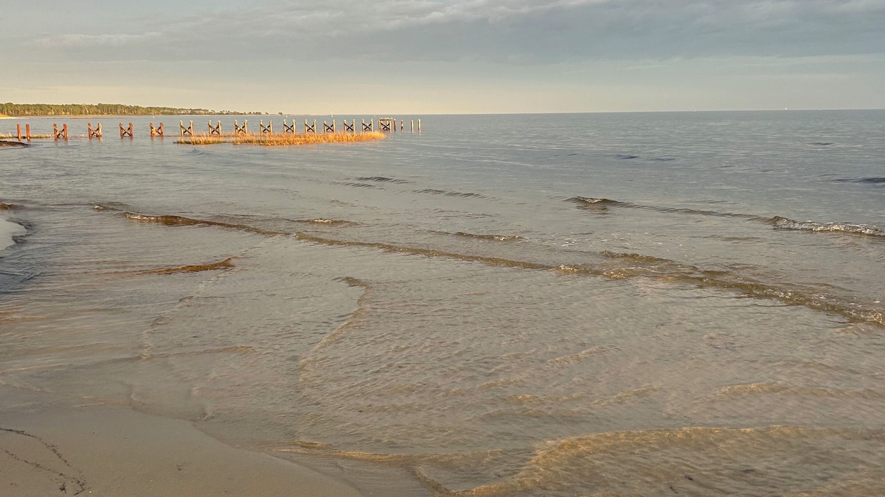 Photo of Others in Carrabelle