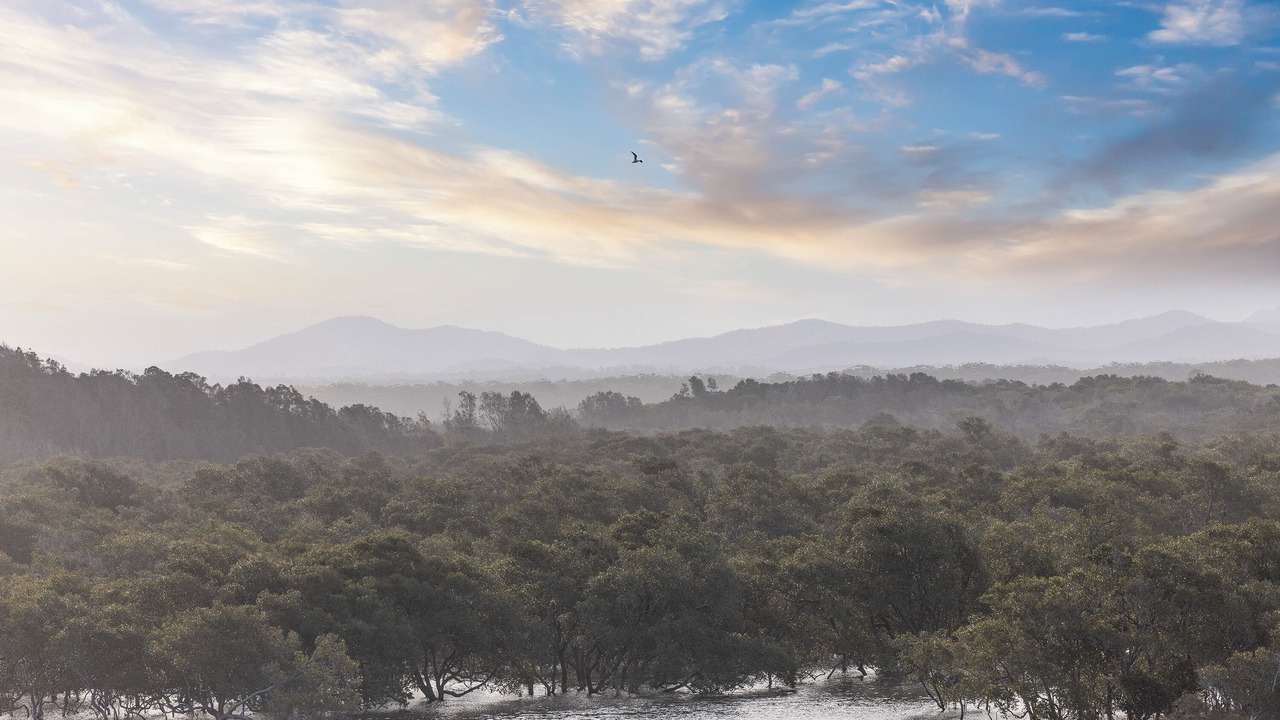 Photo of Others in South West Rocks