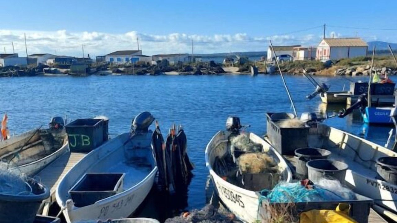 Photo of Others in Port Rive Gauche