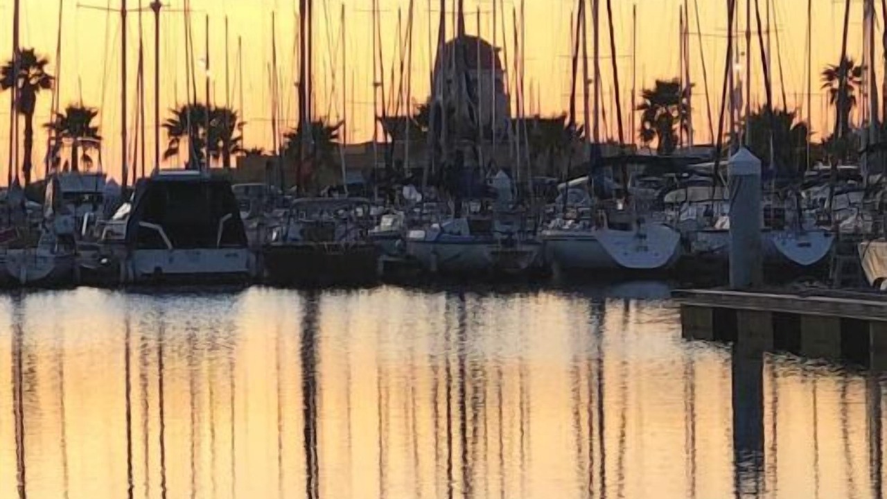 Photo of Others in Port Rive Gauche