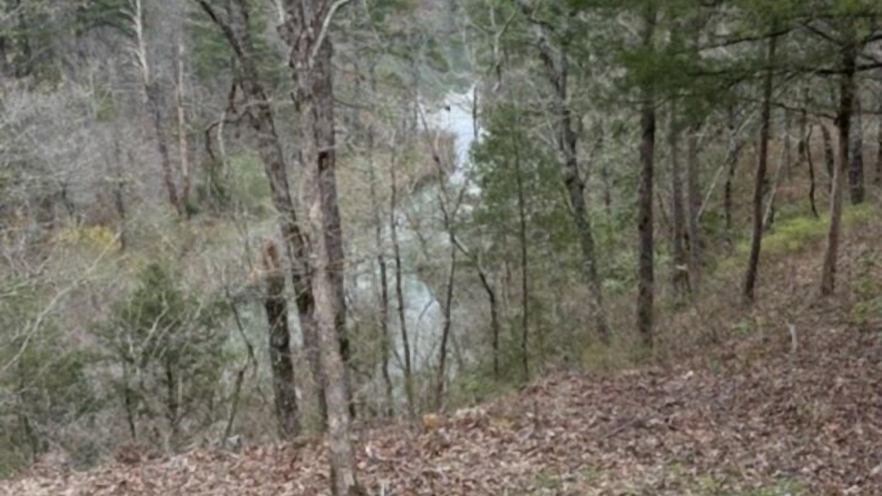 Photo of Others in Smithville