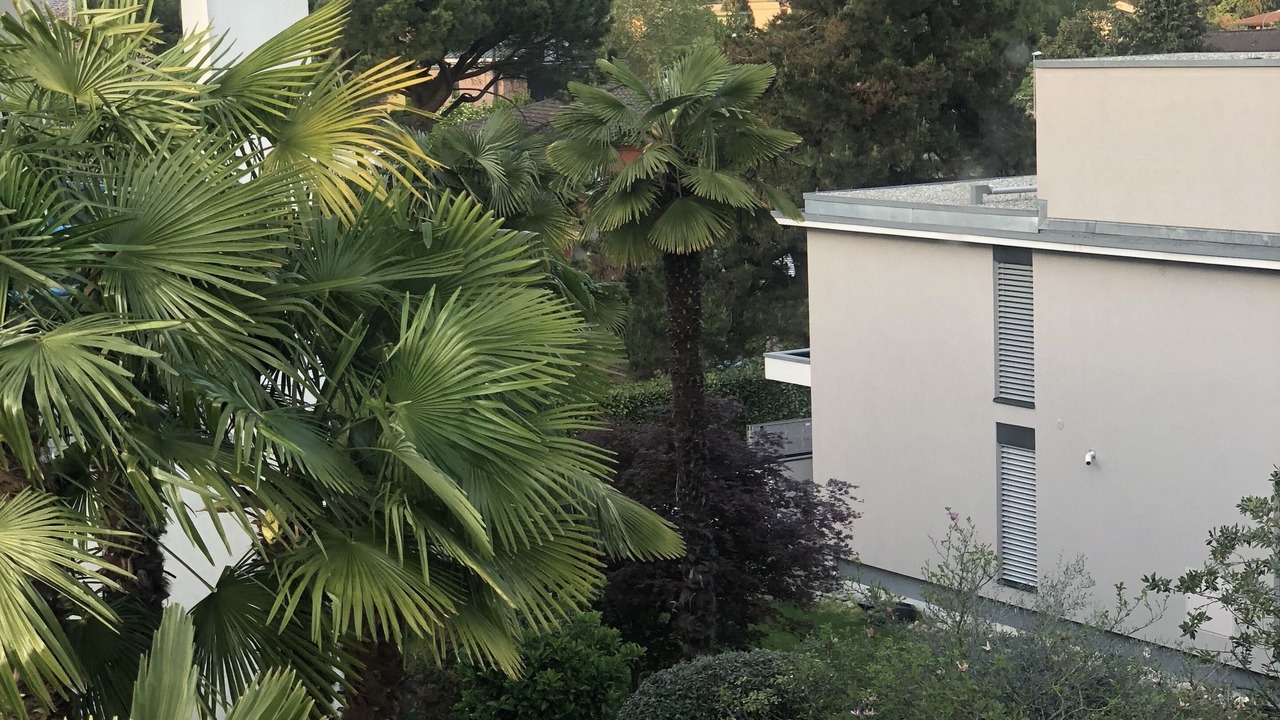 Photo of Outdoor in Ascona
