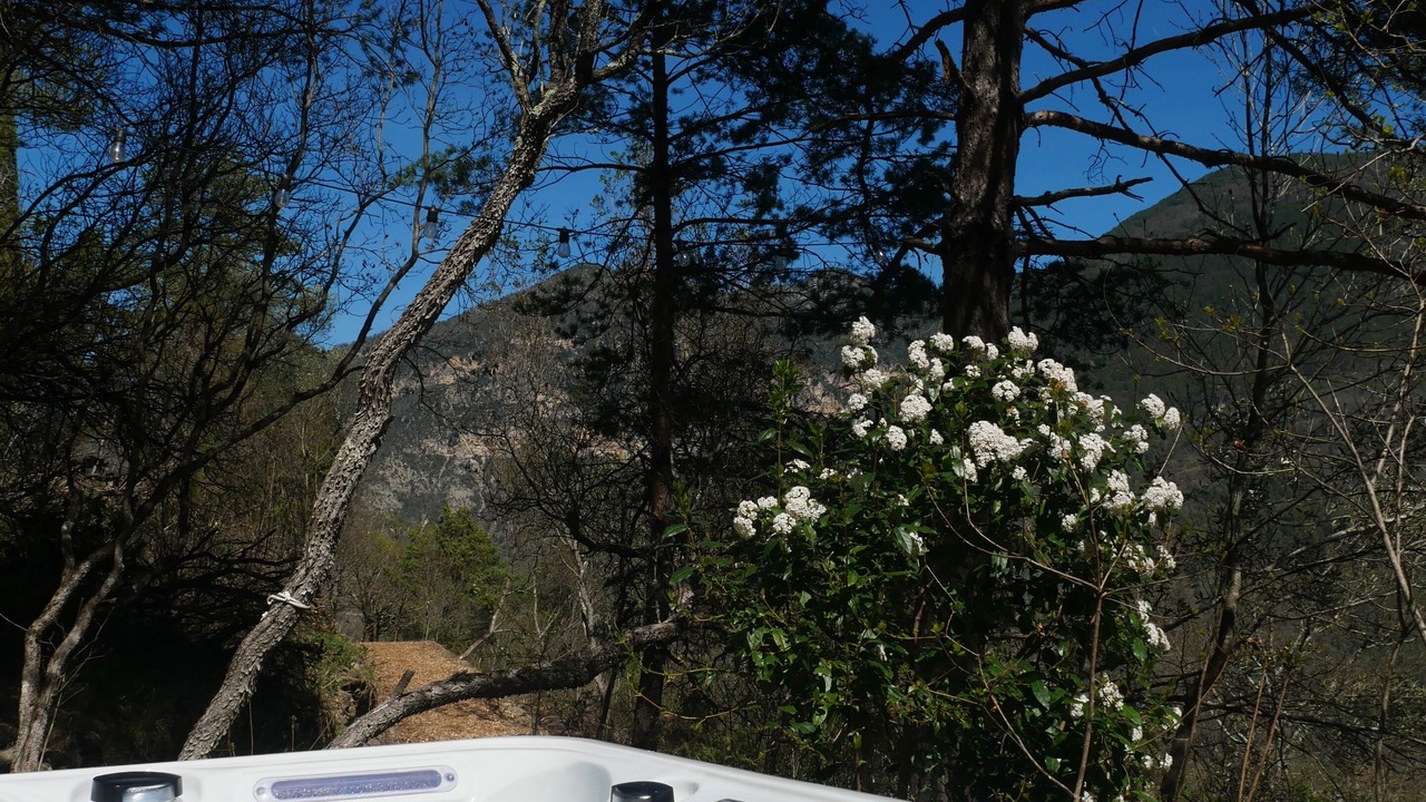 Photo of Outdoor in Tournefort