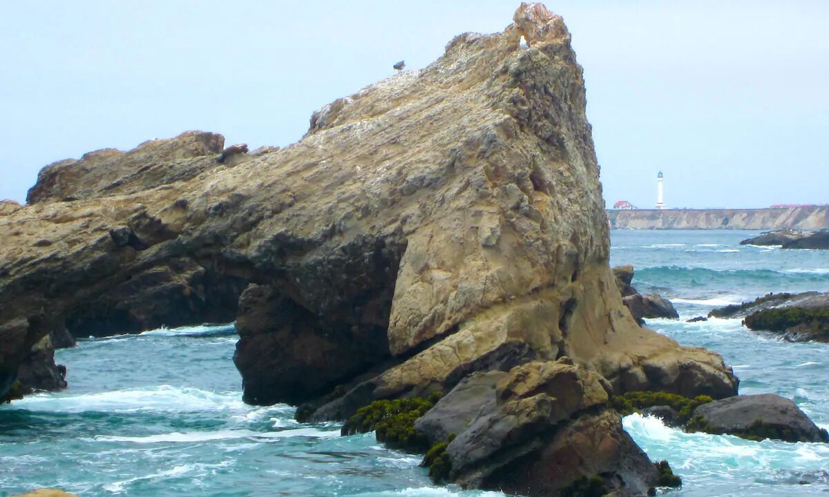 Photo of Others in Point Arena