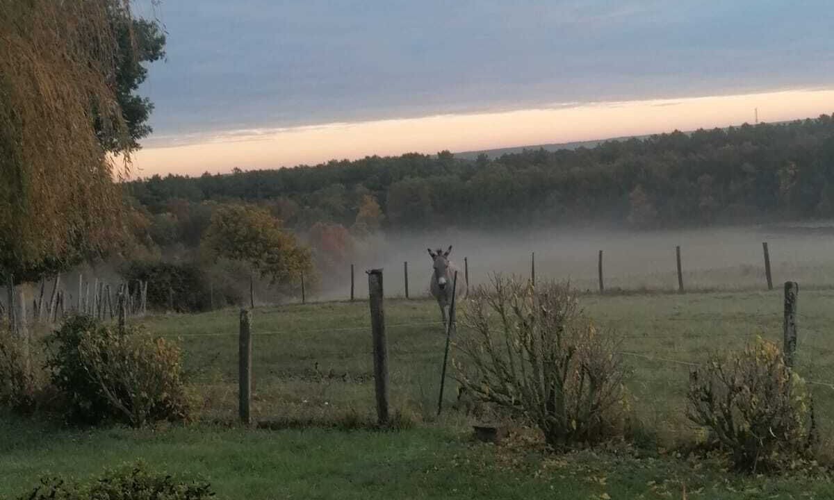 Photo of Outdoor in La Roche-Posay