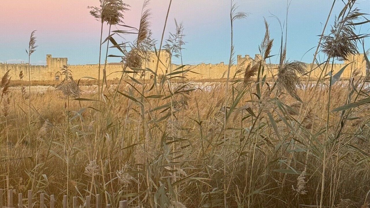 Photo of Outdoor in Aigues-Mortes