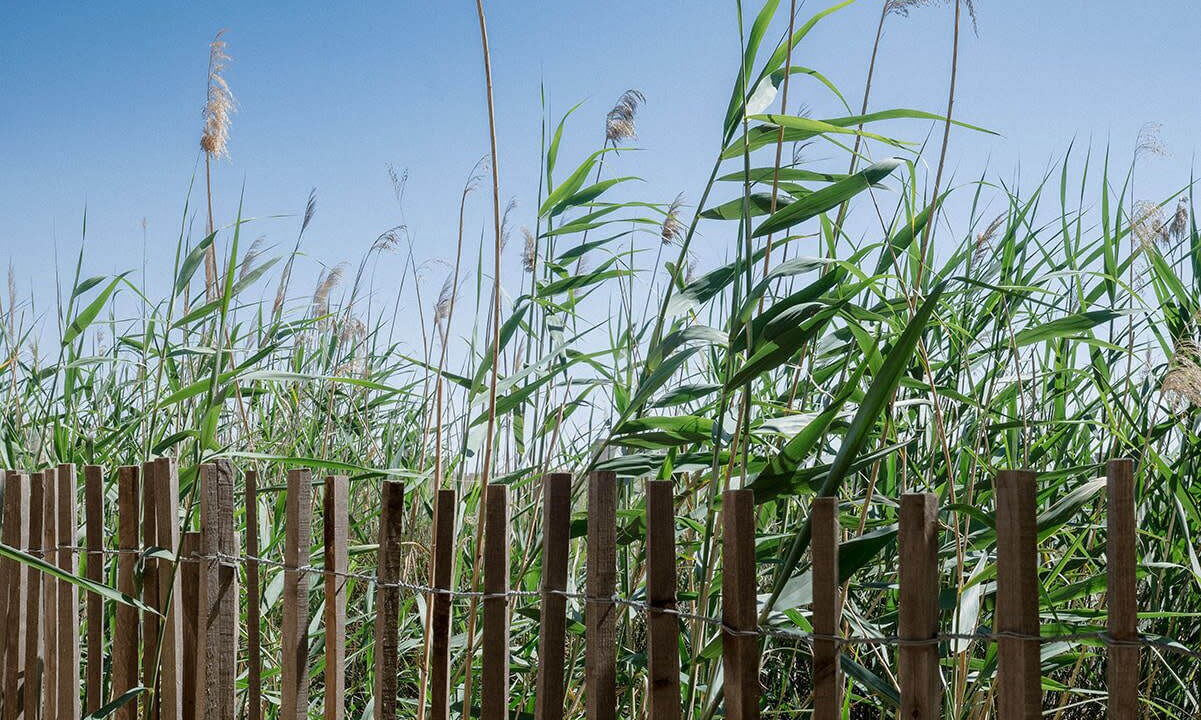 Photo of Outdoor in Aigues-Mortes