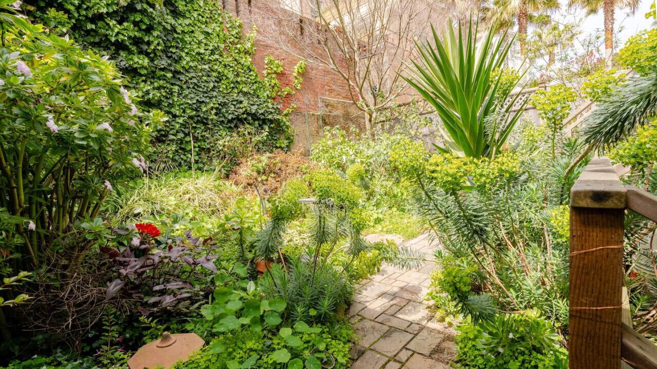 Photo of Outdoor in Buena Vista