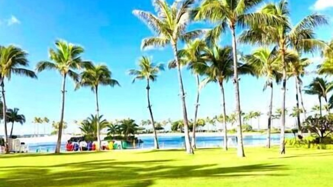 Photo of Outdoor in Waikiki