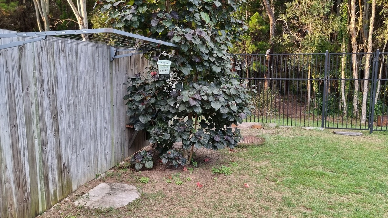 Photo of Outdoor in Toogoom