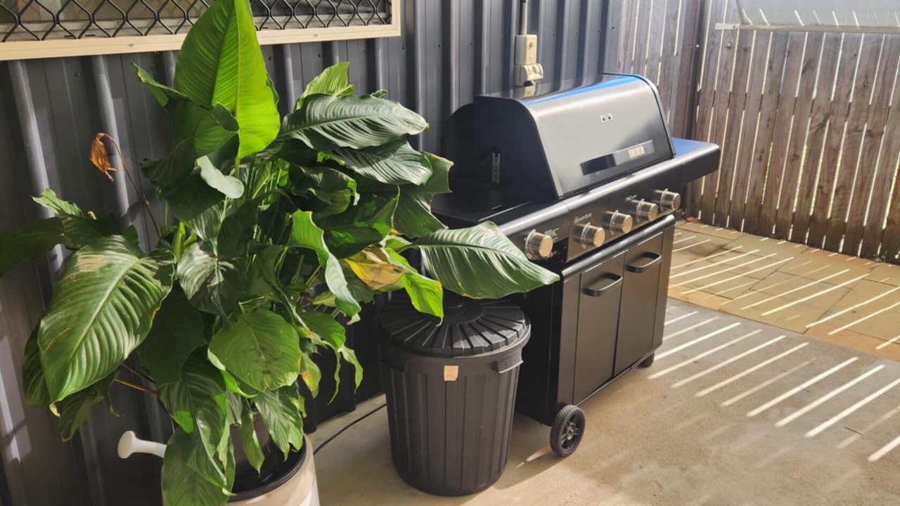 Photo of Others in Toogoom