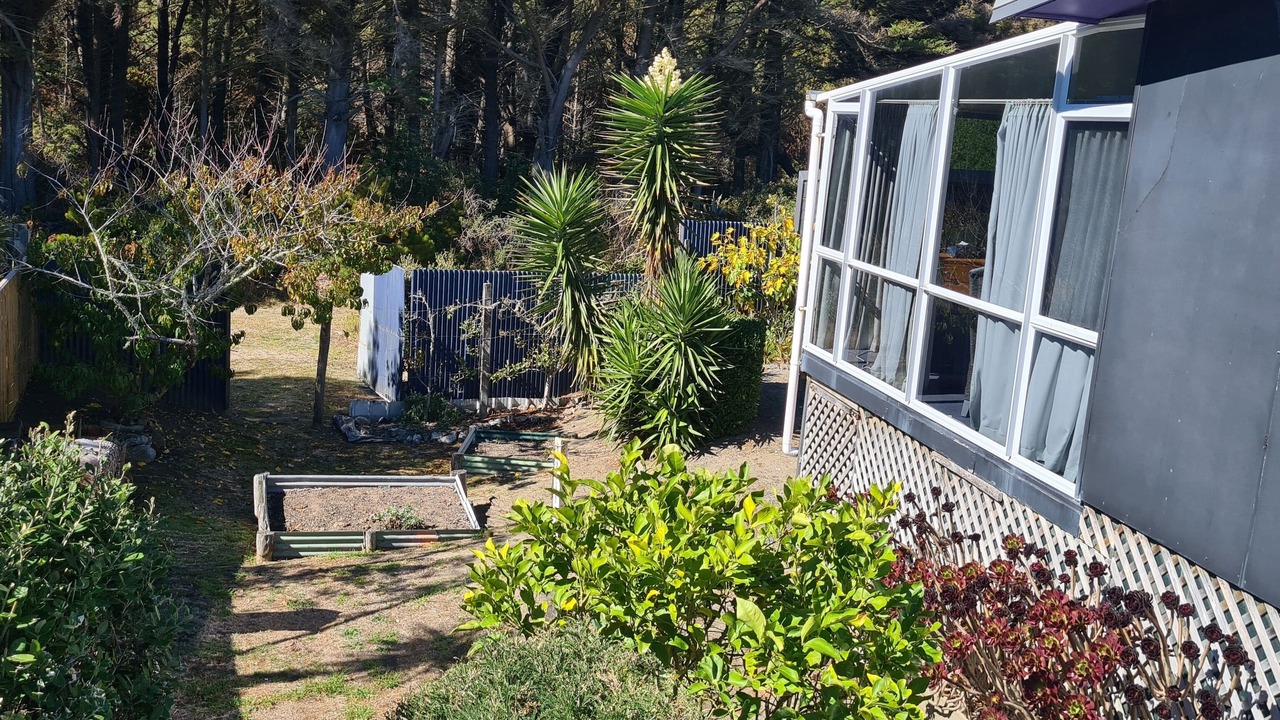 Photo of Outdoor in Waitarere Beach