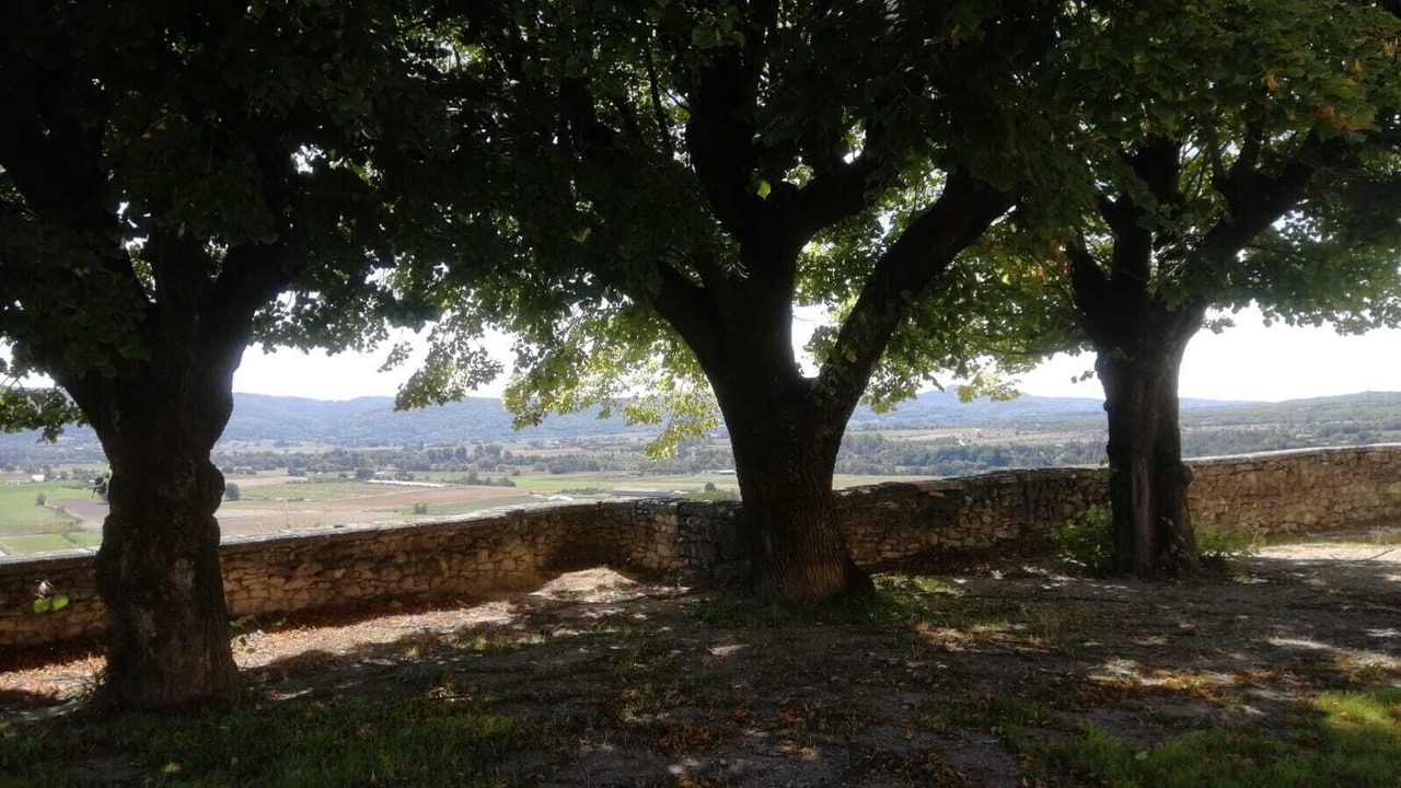 Photo of Outdoor in Mane