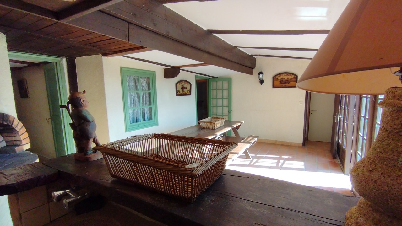 Photo of Others in Mane