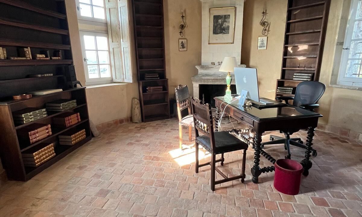 Photo of Others in Mane