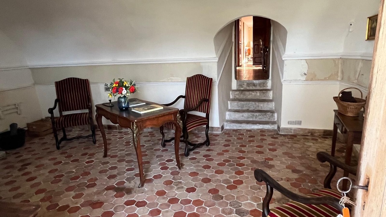 Photo of Others in Mane