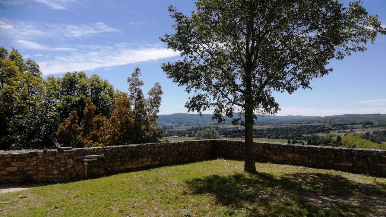 Photo of Others in Mane