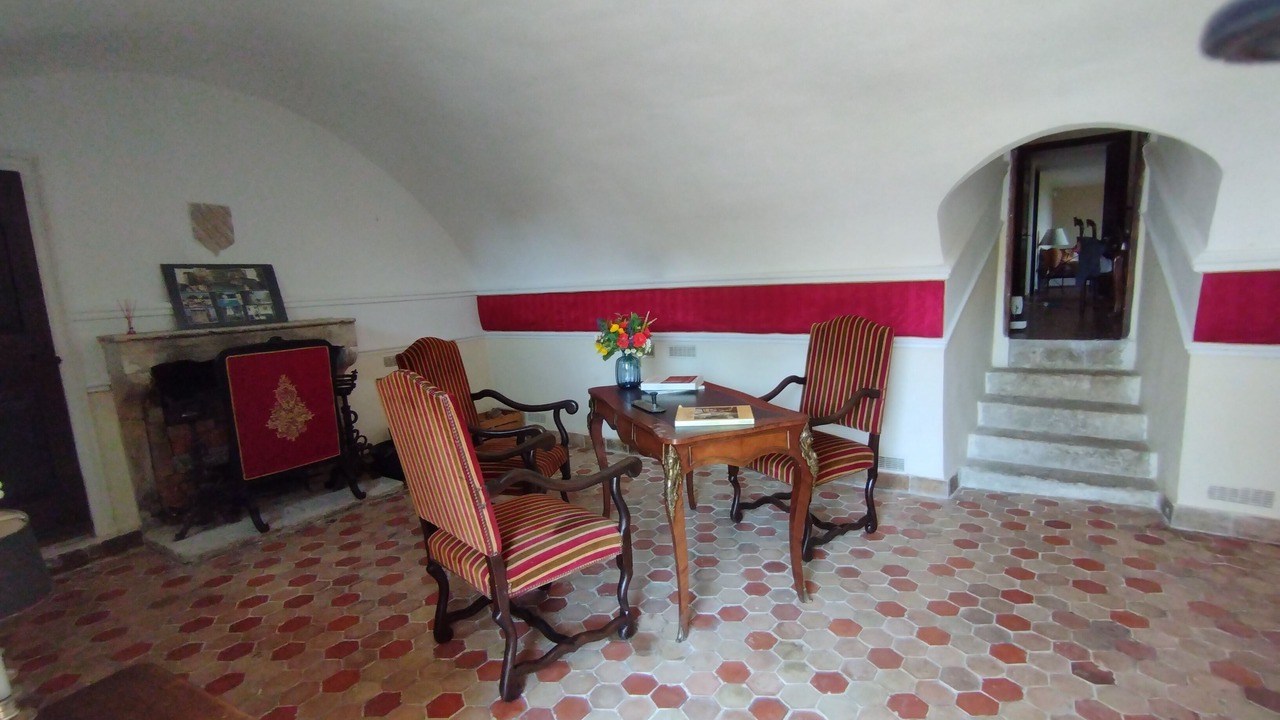 Photo of Others in Mane