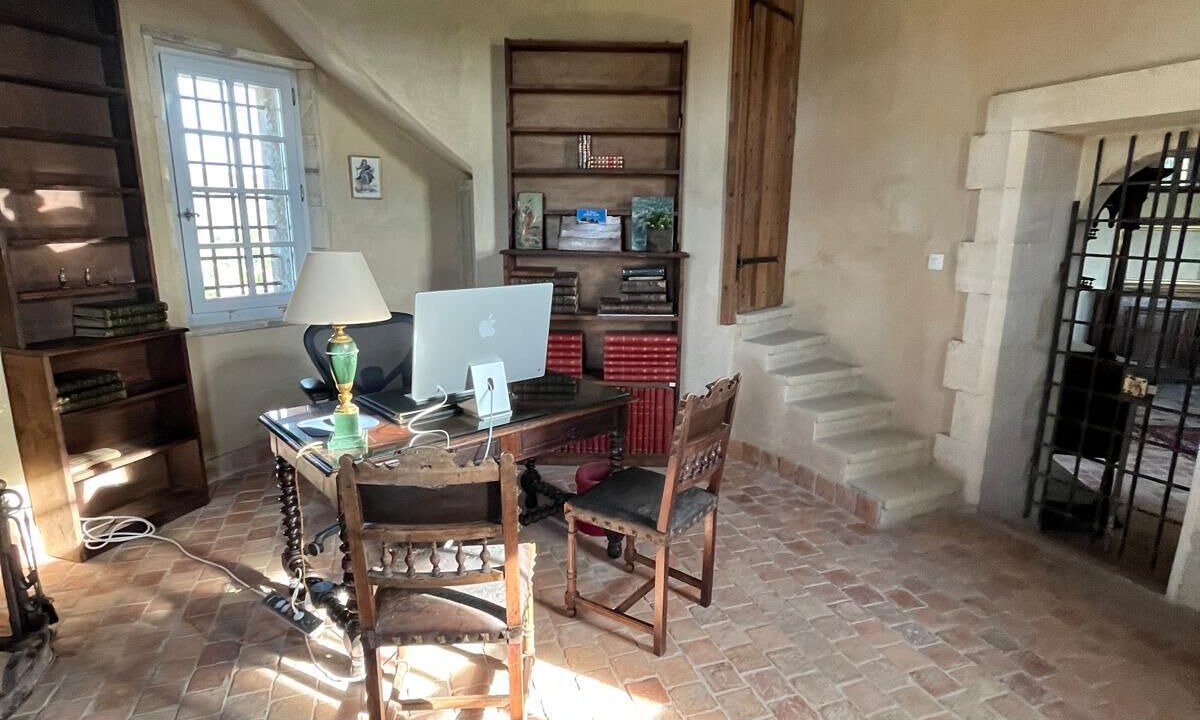 Photo of Others in Mane