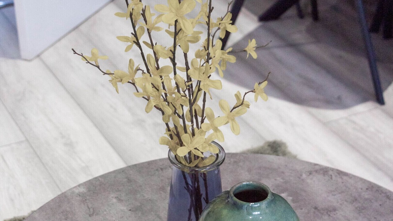 Photo of Others in King's Park