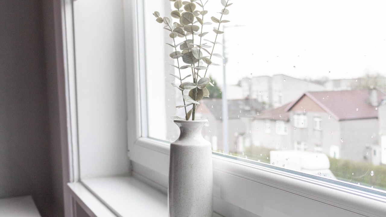 Photo of Others in King's Park