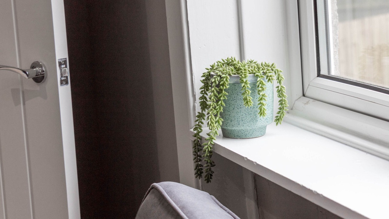 Photo of Others in King's Park