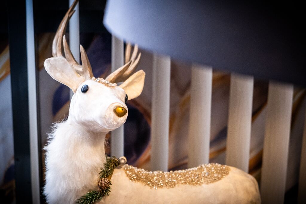 Photo of Others in West Bromwich