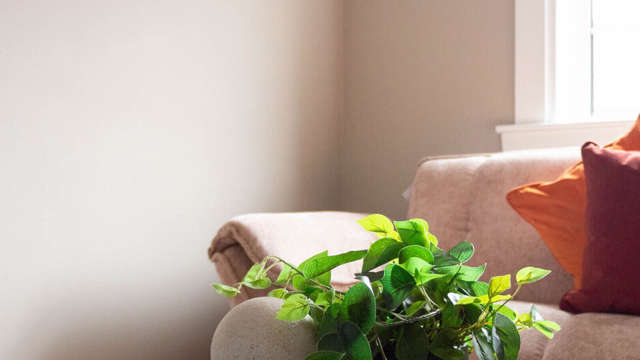 Photo of Livingroom in Airth