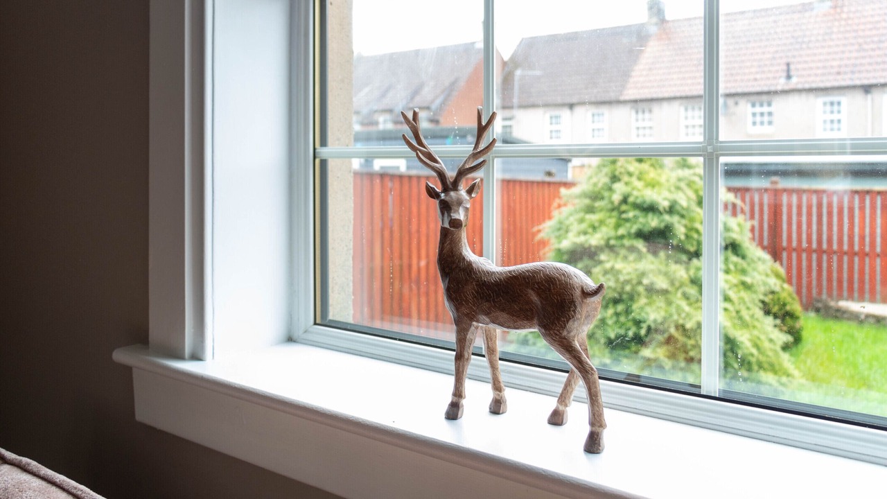 Photo of Others in Airth