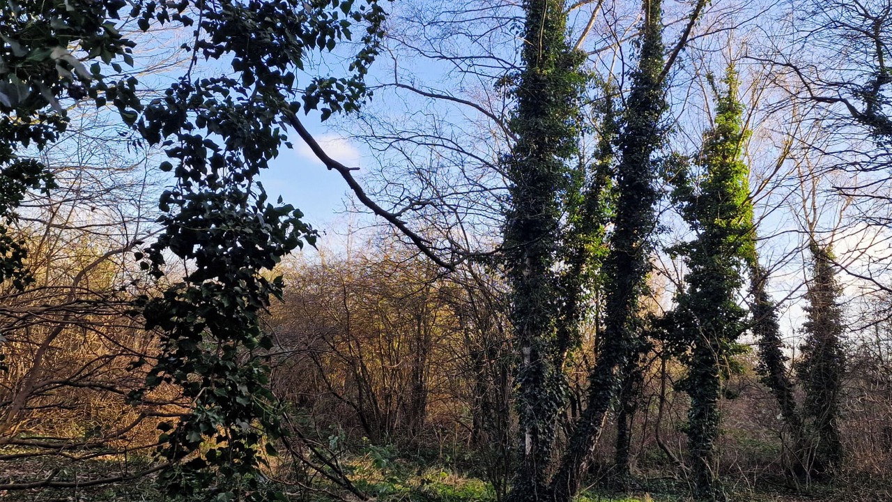 Photo of Others in Newark upon Trent