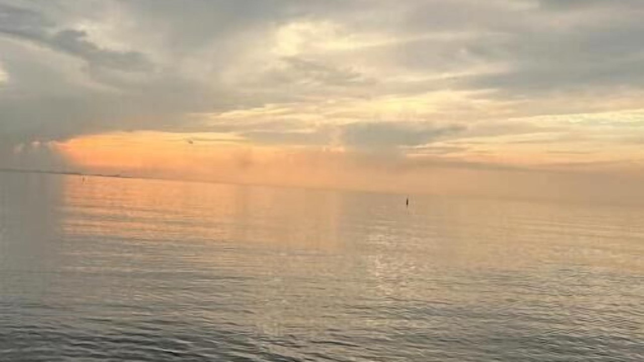 Photo of Others in Miller Beach
