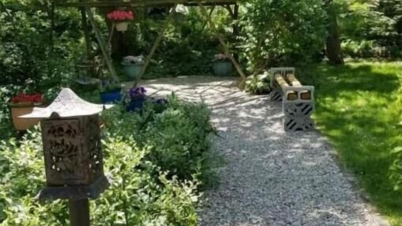 Photo of Outdoor in Miller Beach
