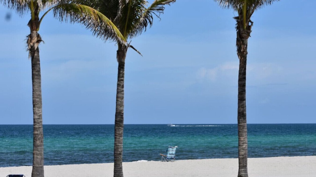 Photo of Others in Hallandale Beach